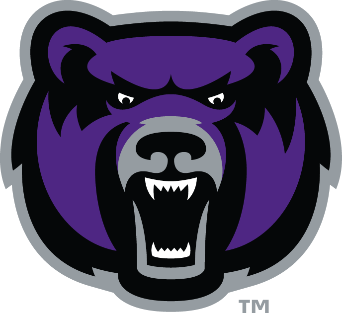Central Arkansas Bears 2009-Pres Alternate Logo v8 diy iron on heat transfer